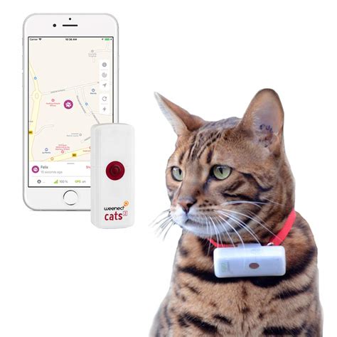 Gps tracker for cat. Things To Know About Gps tracker for cat. 